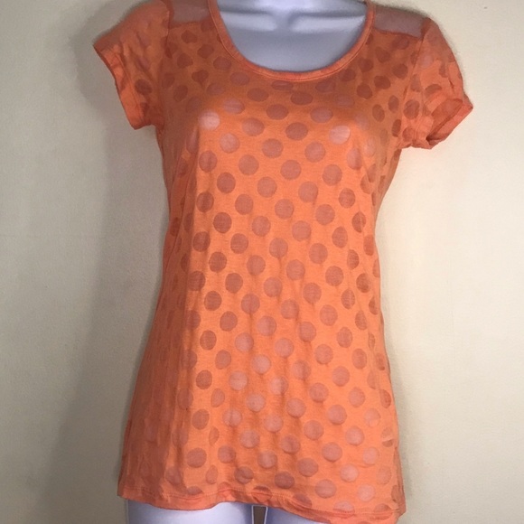 Derek Heart peach sheer polka dot top - Picture 9 of 13